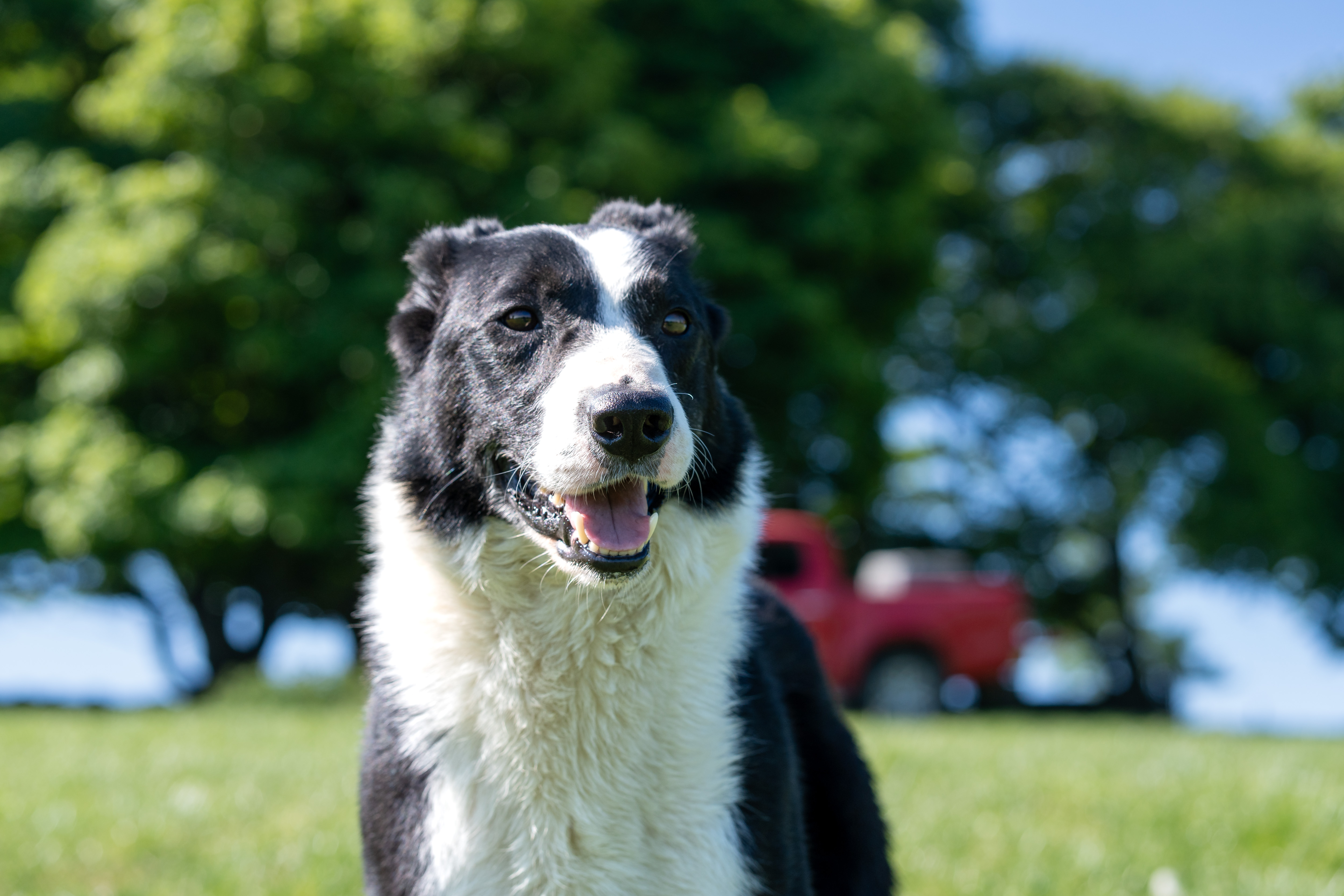 Profile photo of Dan